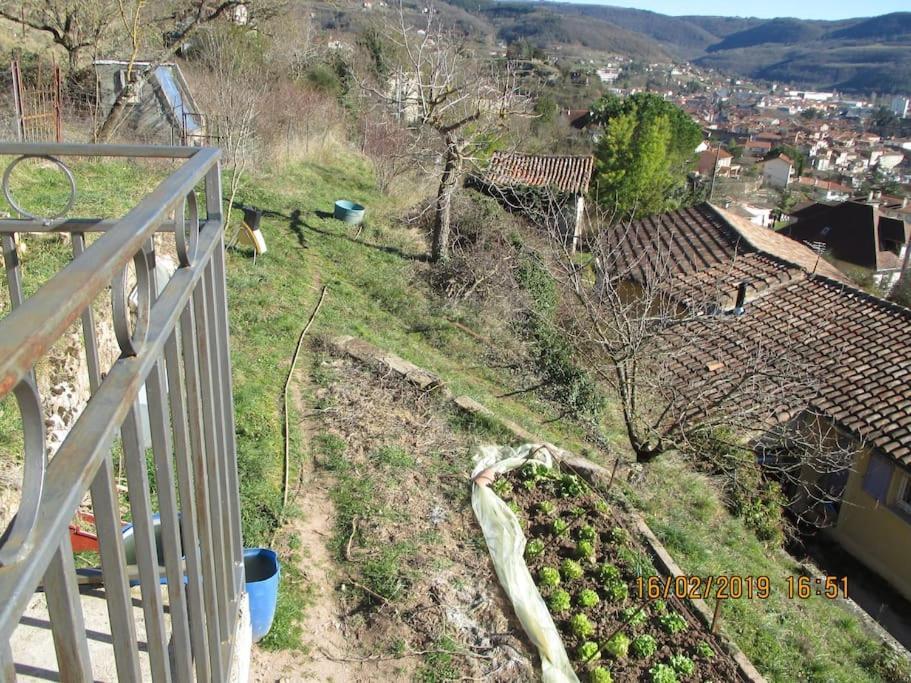 Maison De Vigne Renovee *